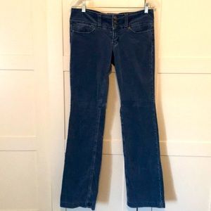 Billy blues Velour pants